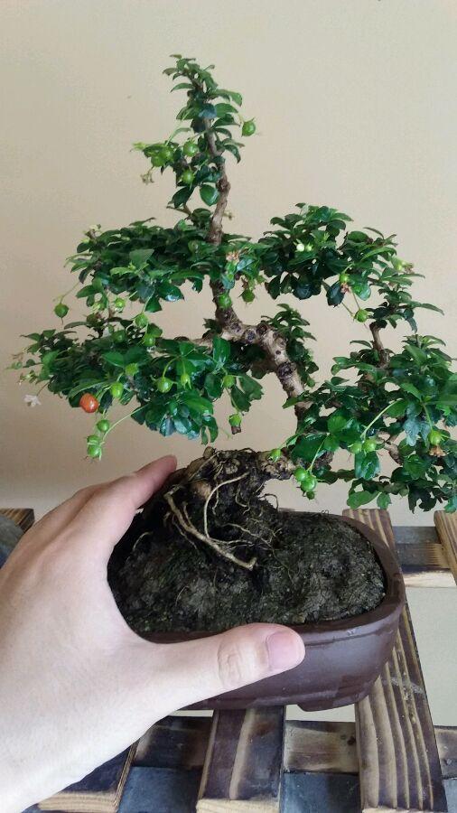 福建致敬，领导与同胞的深情聚会